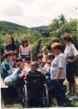 beolvasas0012.jpg