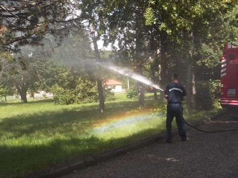gyereknap_17.jpg