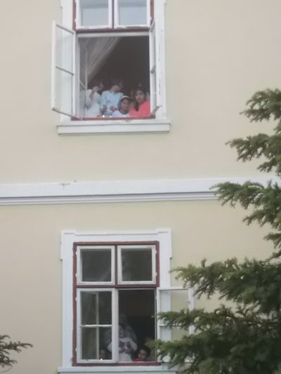 szerenad_6.jpg